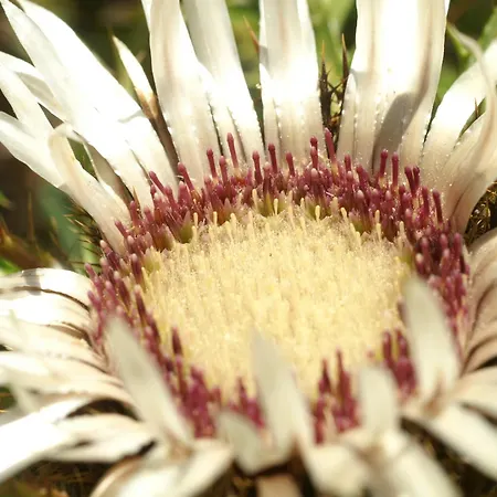 Sonnblick Szálloda Wald am Arlberg