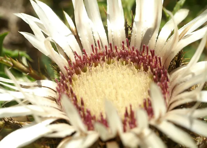 Sonnblick Hotel Wald am Arlberg